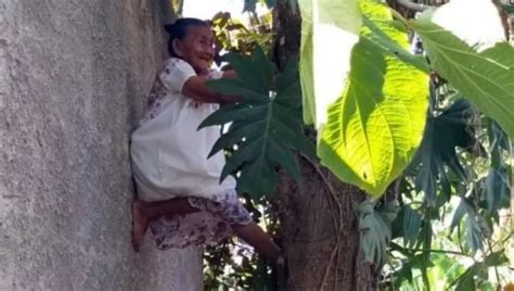 que es chichis|¿Quiénes son las ‘chichís’ y por qué están ...